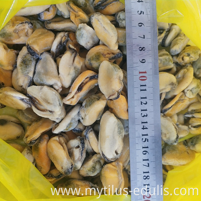farm raised freshest whole cleaned mussel meat no sand no clay